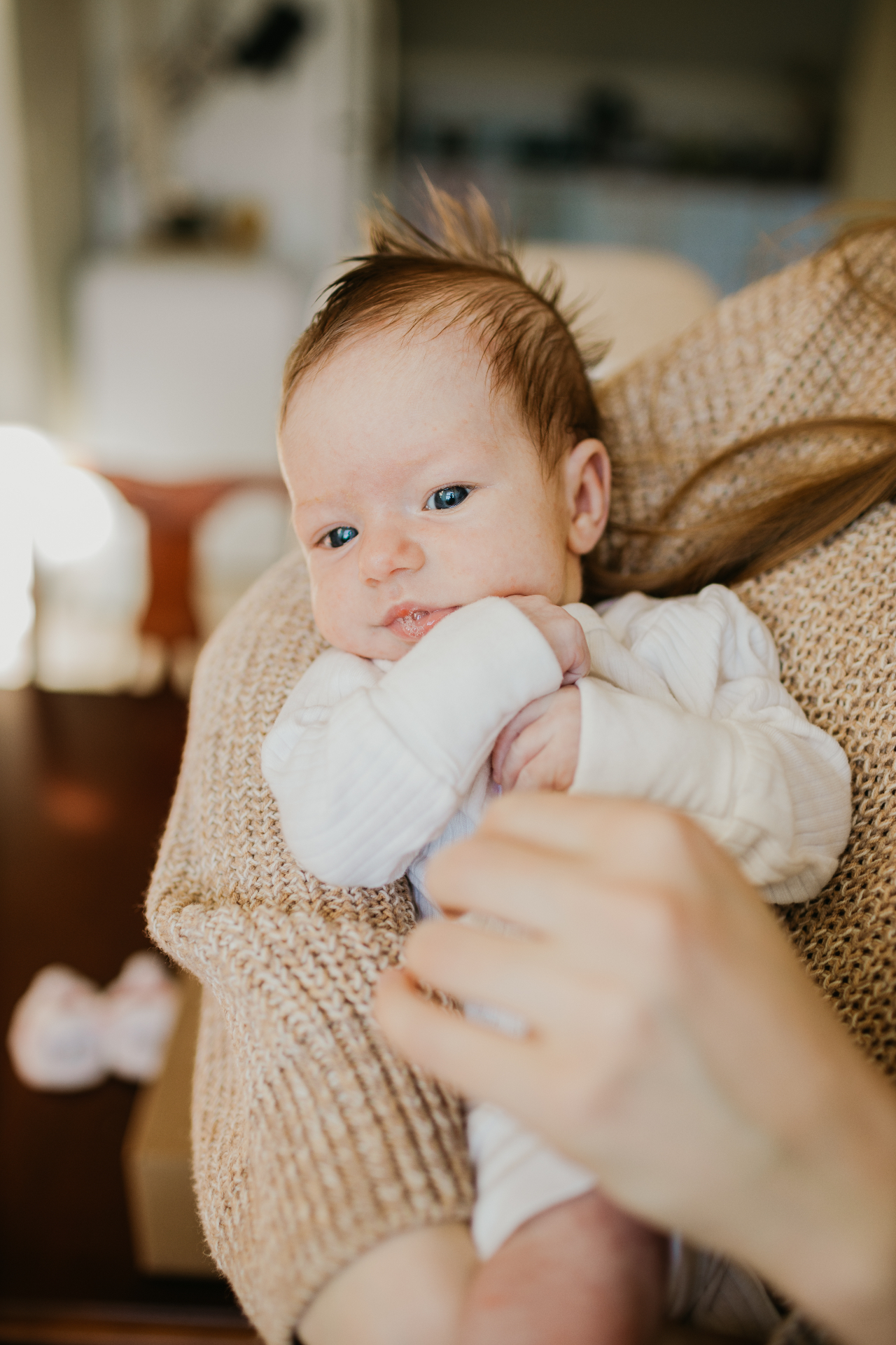 Alert newborn portrait in soft afternoon light — Eastern CT newborn photography