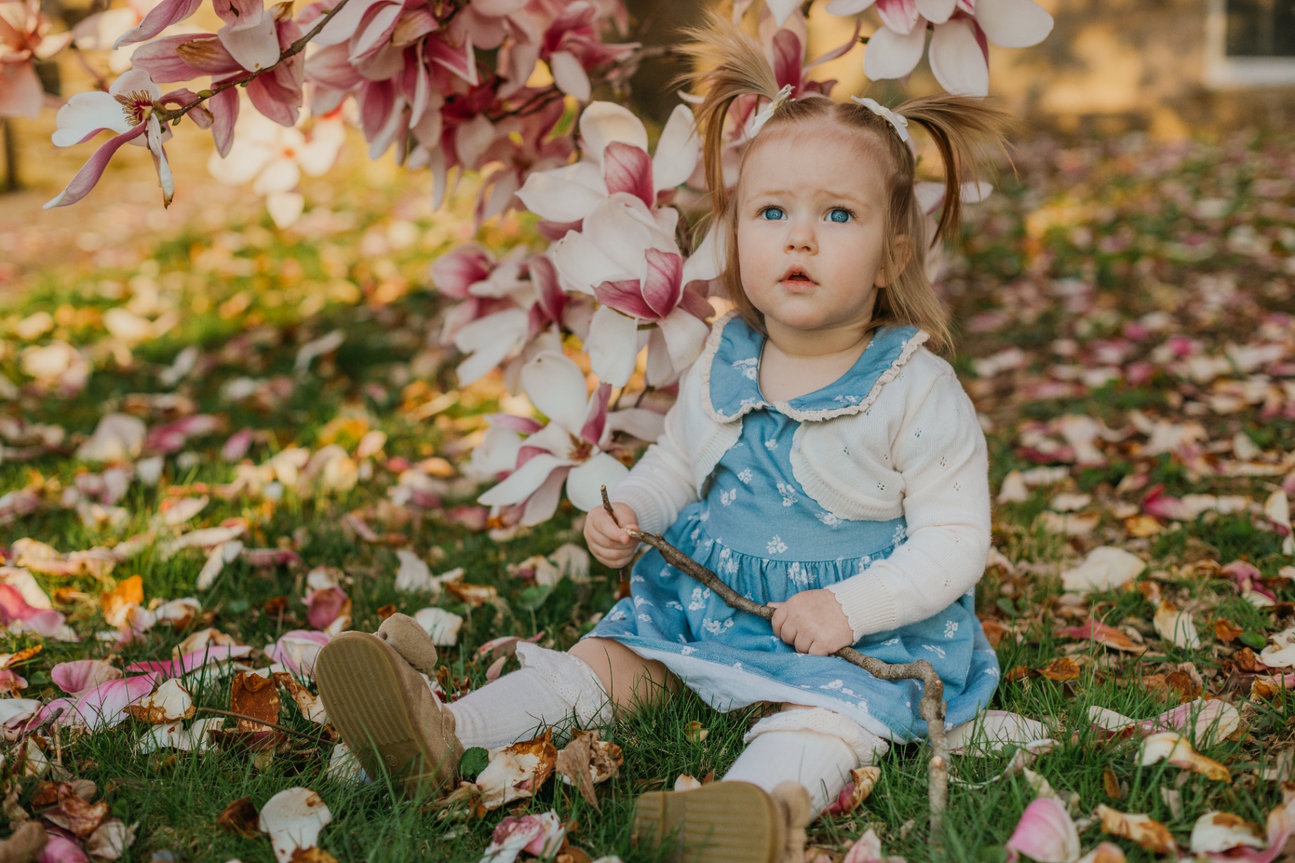 Little girl sitting in fallen magnolia petals — natural light family photography